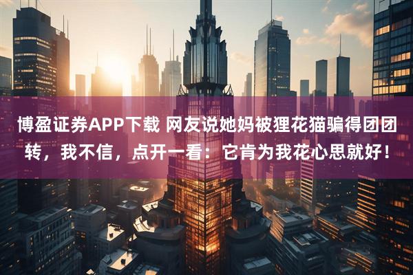 博盈证券APP下载 网友说她妈被狸花猫骗得团团转，我不信，点开一看：它肯为我花心思就好！