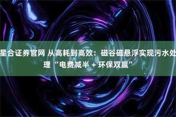 星合证券官网 从高耗到高效：磁谷磁悬浮实现污水处理 “电费减半 + 环保双赢”